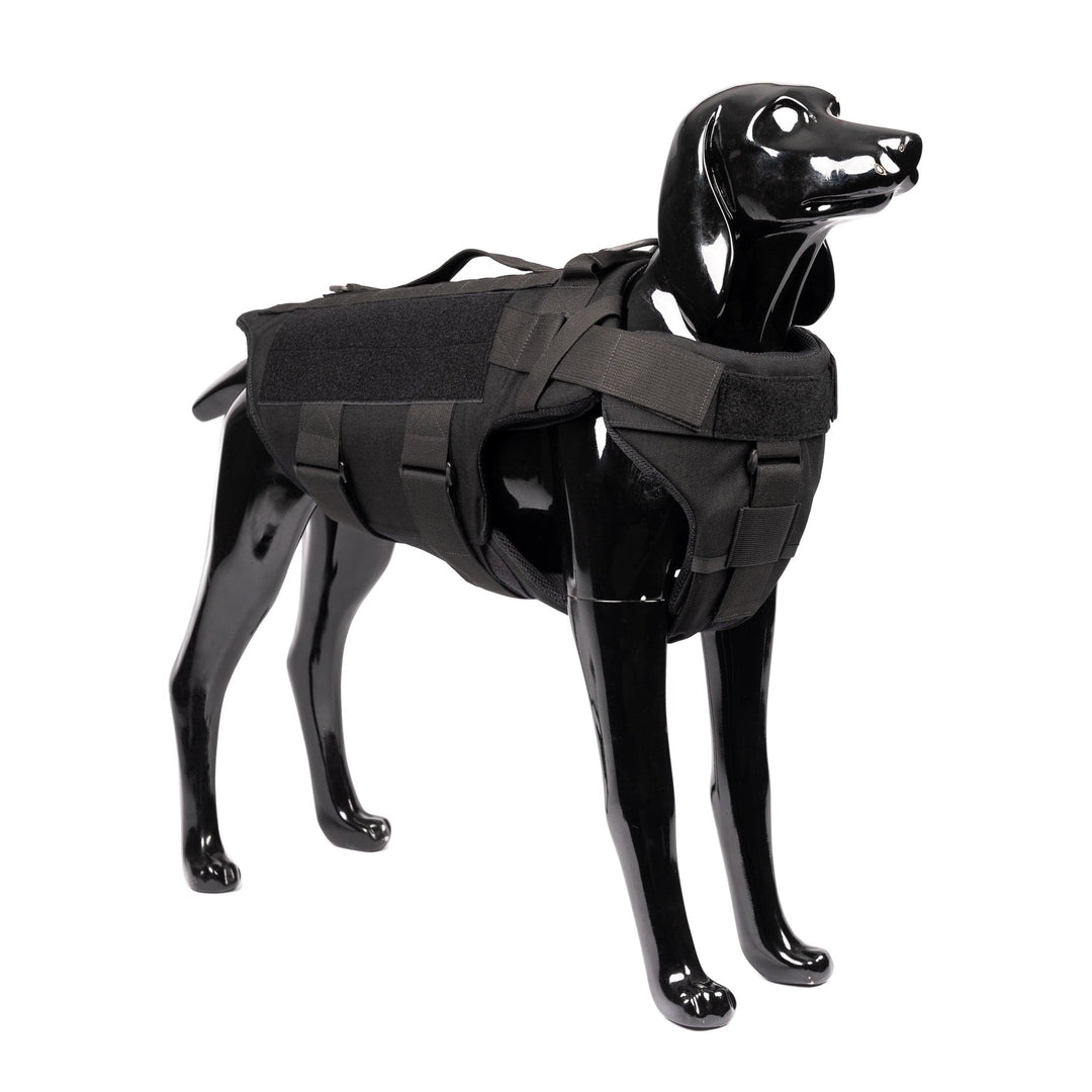 A shiny black mannequin dog is pictured wearing the Premier Body Armor K-9 Vest – Level IIIA, which features several straps and loops. The harness appears to be durable and functional, providing the realistic look of canine body armor. The mannequin's posture suggests it is standing upright and alert.