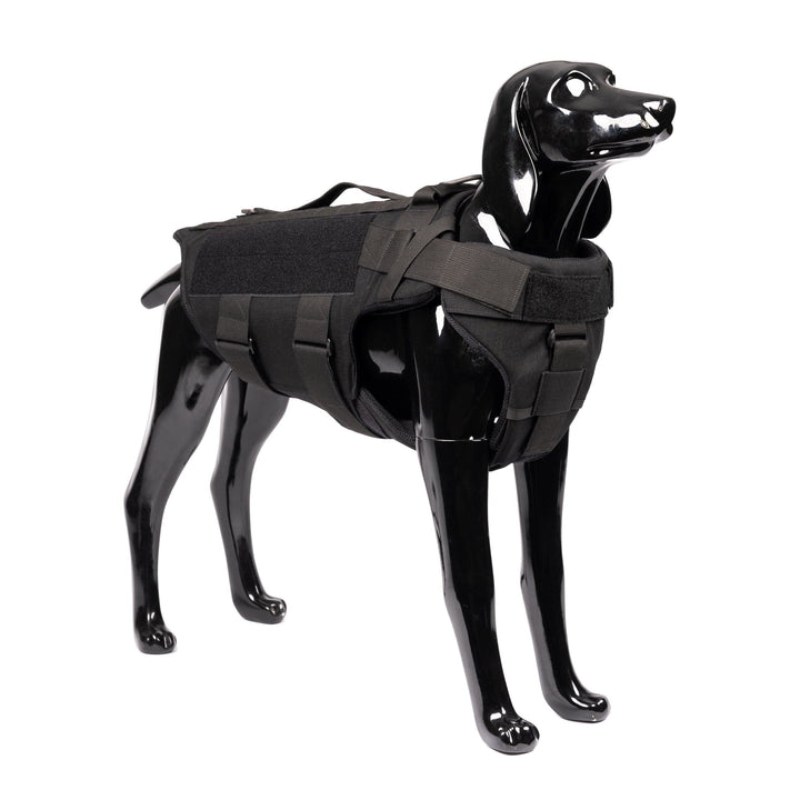 A black dog mannequin sports an onyx/Premier Body Armor K-9 Vest – Level IIIA with tactical gear, featuring straps, compartments, ballistic panel options, and a sturdy handle. The vest covers the back and sides while the mannequin is posed slightly to the right.