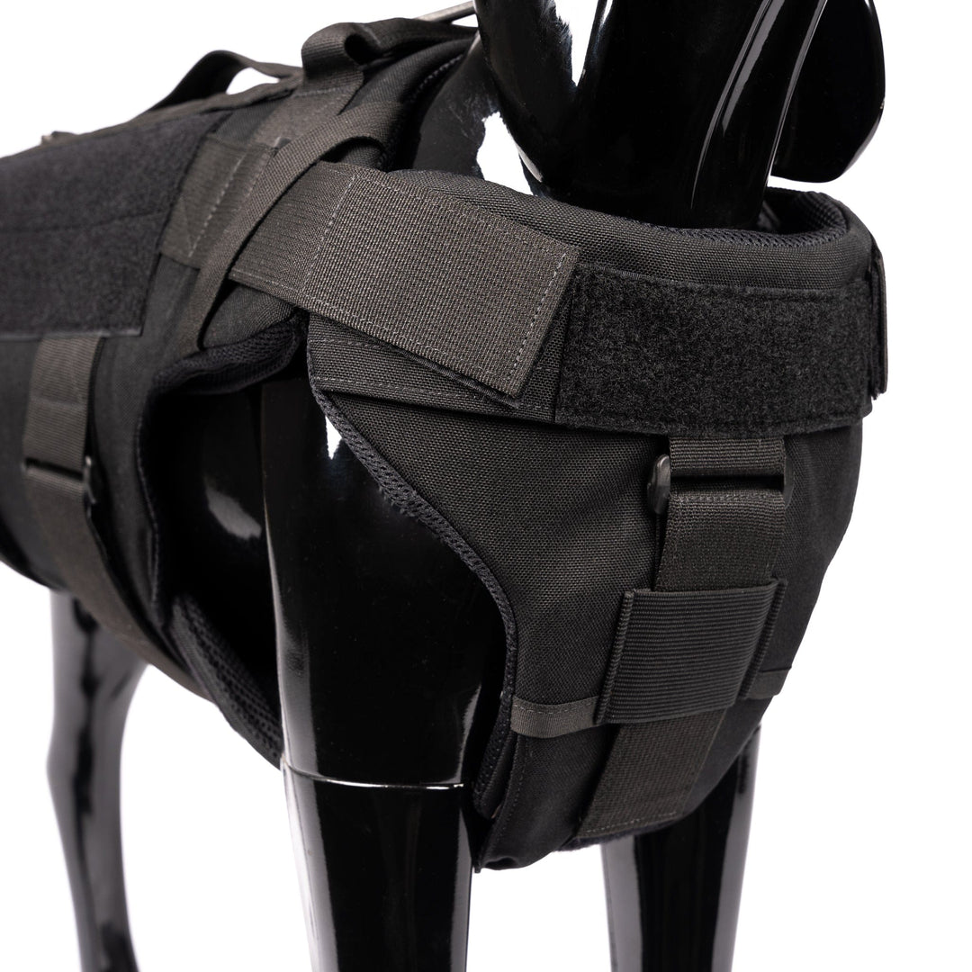 A close-up side view of a black dog wearing the Premier Body Armor K-9 Vest – Level IIIA. The black vest, featuring multiple straps and buckles, appears to be made of durable material with padded sections for comfort and Velcro attachments. The dog is standing on all fours.