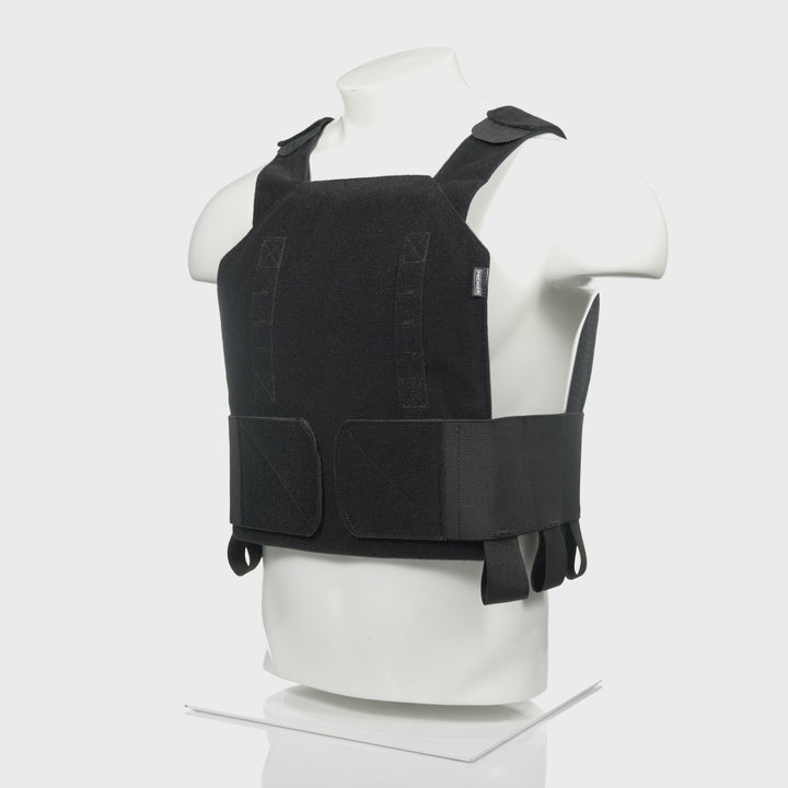 Discreet Plate Carrier